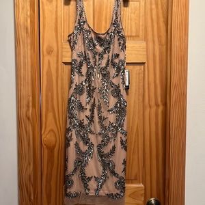 Adrianna Papell beaded mesh  dress